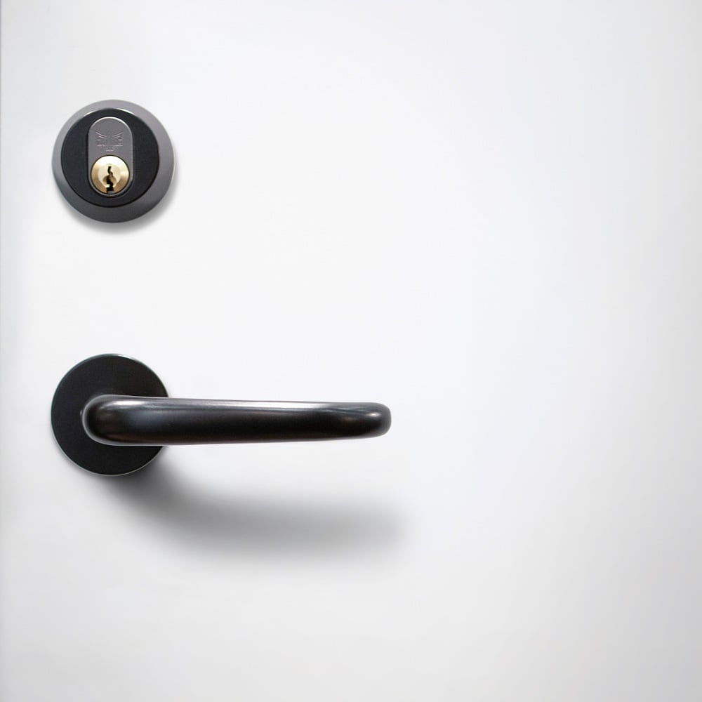 Exterior door Smooth 100 G45-R with fitting package FSB 1023 in black anodised aluminum