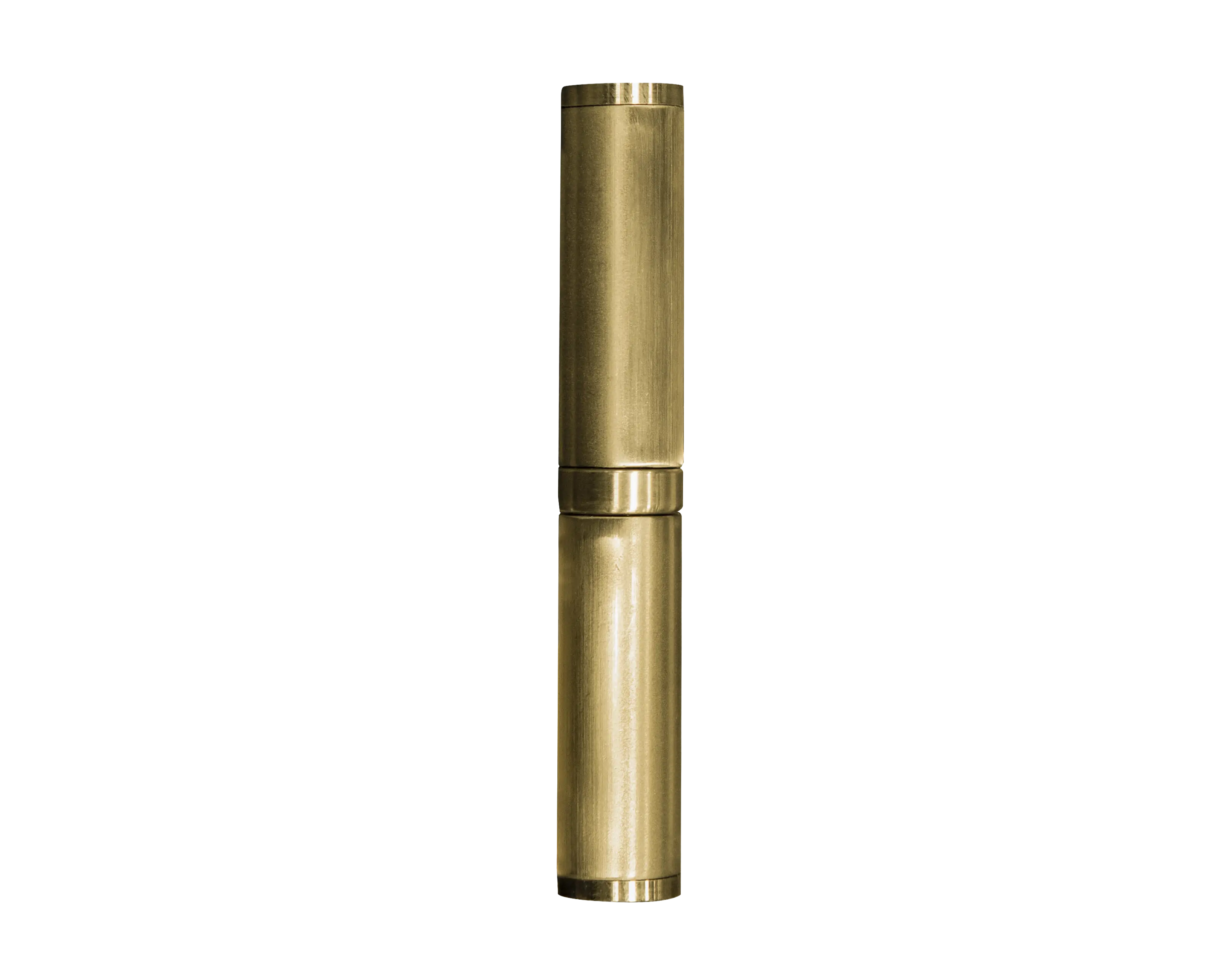 Load-bearing hinge H100 brass