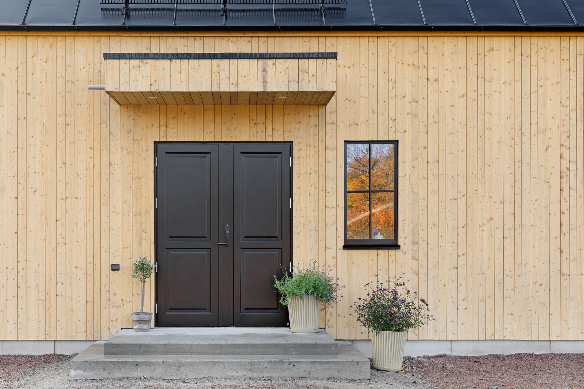 Double door Ascot special with double hinge